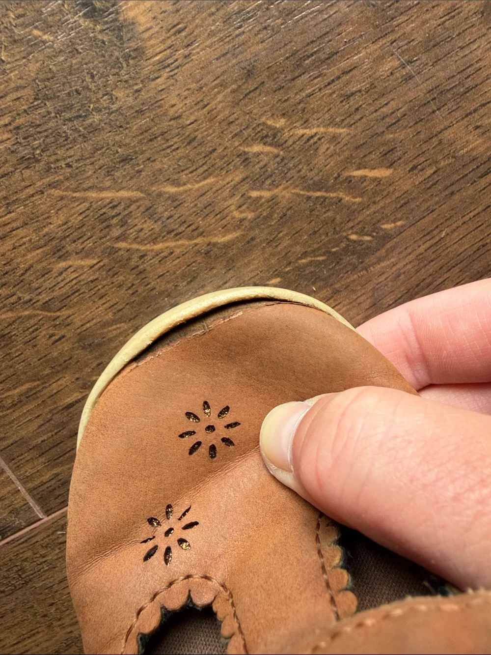 Stride Rite Brown Cheyenne Mary Jane
